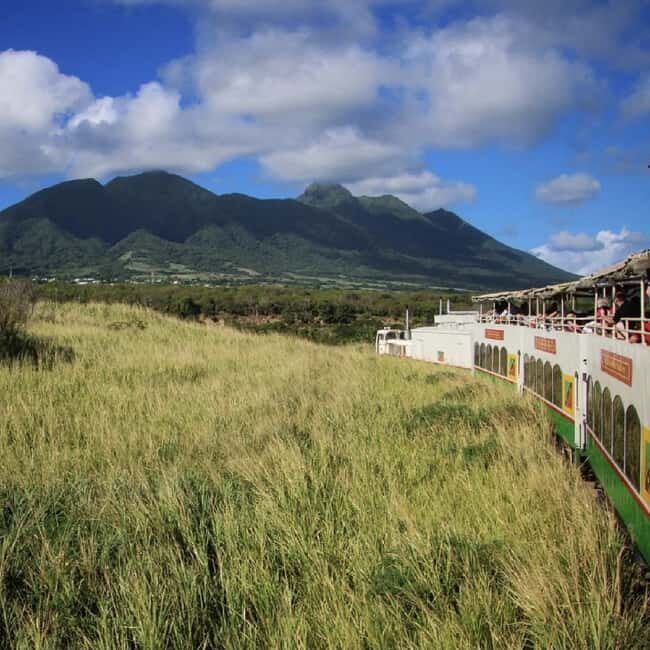 Sugar Train Tour & Drinks|Pick-Up &Drop Off From Cruise Port - What Makes This Tour Stand Out?