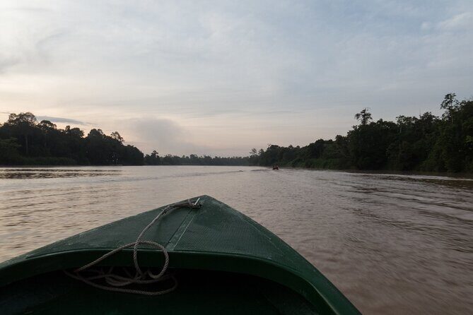 Sukau Rainforest Wildlife and Dawn Cruises Tour in Sandakan - Final Thoughts