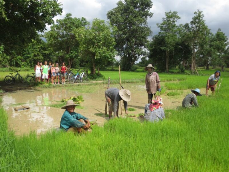 Sukhothai: Half-Day Countryside Bike Tour - Who Should Consider This Tour?