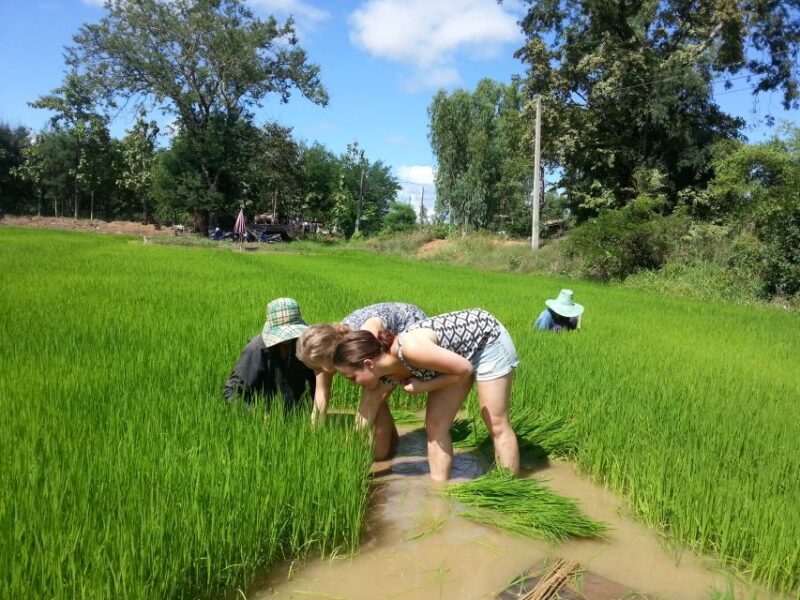 Sukhothai: Half-Day Countryside Bike Tour - Final Thoughts