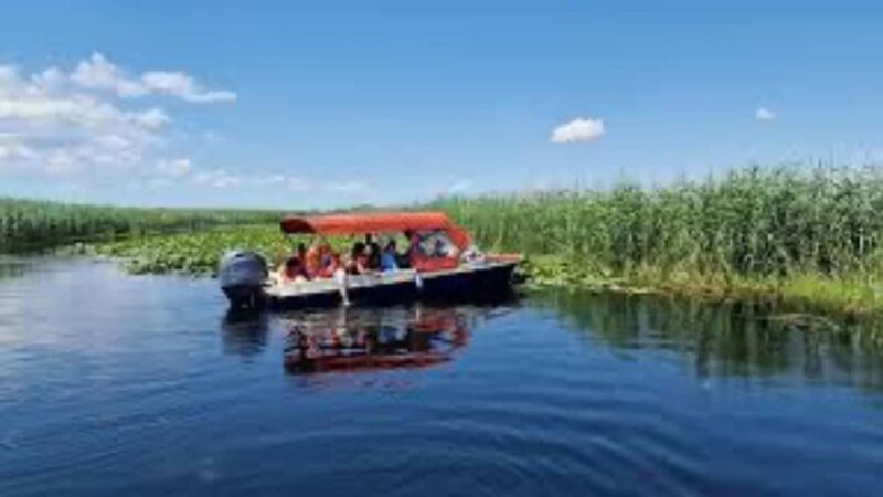Sulina: Danube Delta Boat Tour with Wildlife Spotting - Key Points