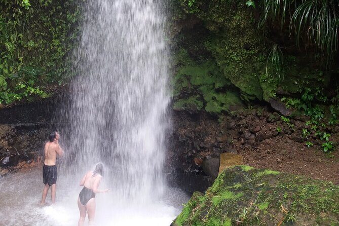Sulphur Springs Mud Bath and Toraille Waterfall Tour with Creole Lunch - Key Points