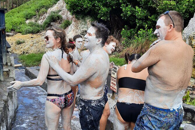 Sulphur Springs Mud Bath and Toraille Waterfall Tour with Creole Lunch - Exploring the Tour in Detail