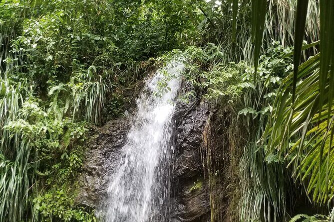 Sulphur Springs Tour - Who Should Consider This Tour?