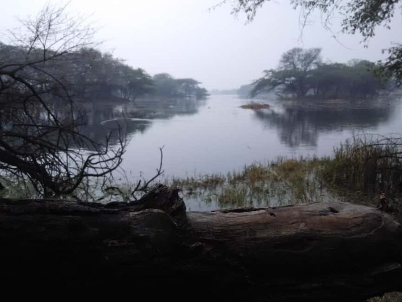 Sultanpur Bird Sanctuary: 2-Day Tour from Delhi - Key Points