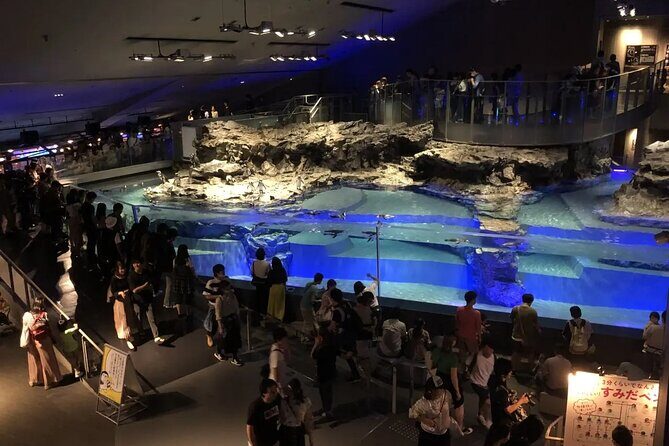 Sumida Aquarium Ticket Tokyo - A Deep Dive Into the Sumida Aquarium Experience