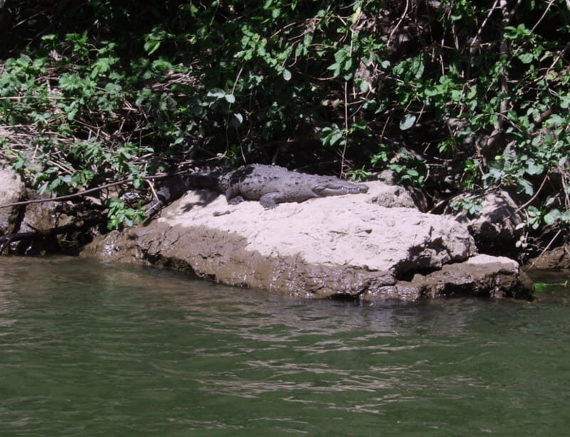 Sumidero Canyon & Chiapa de Corzo from Tuxtla - Who Should Take This Tour?