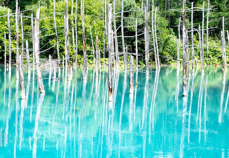 Summer 11 AM Departure: Shikisai no Oka & Farm Tomita & Blue Pond & Waterfall & Ningle Terrace Illumination Day Tour - Ningle Terrace after dark