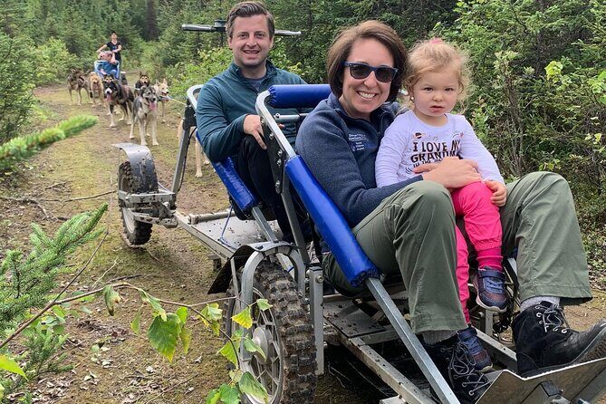 Summer Dog Sledding Adventure in Willow, Alaska - A Closer Look at the Summer Dog Sledding Adventure