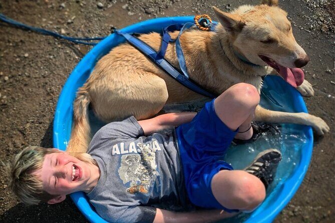 Summer Dog Sledding Adventure in Willow, Alaska - FAQ