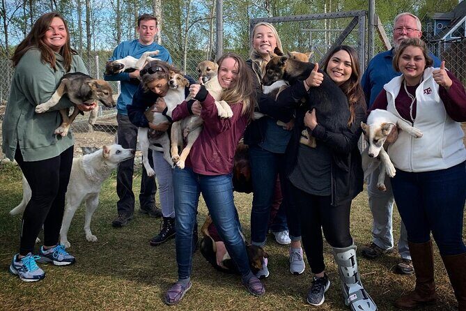 Summer Dog Sledding Adventure in Willow, Alaska - Transportation, Timing, and Practicalities