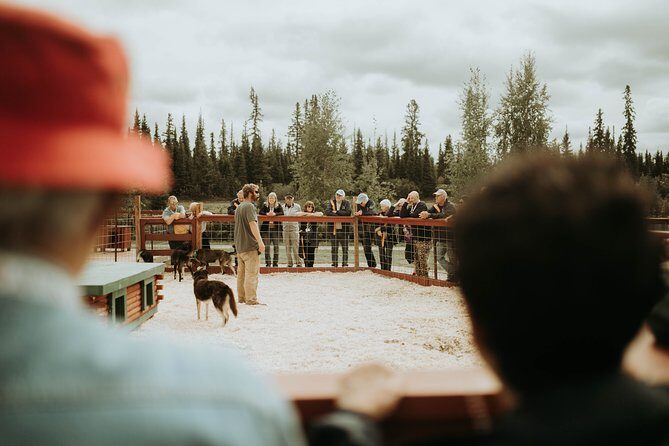Summer Kennel Visit at Historic Trail Breaker Kennel - Key Points