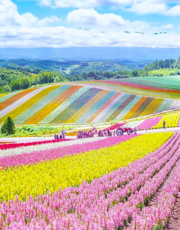 Summer Limited: Biei Furano Farm Tomita & Shikisai no Oka & Blue Pond & Waterfall Day Tour - Blue Pond: color shaped by minerals and light