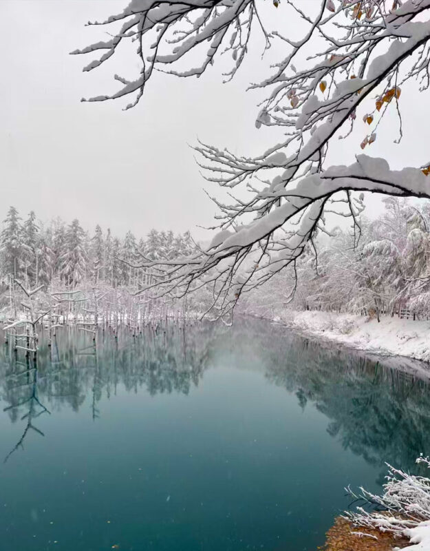 Summer Limited: Biei Furano Farm Tomita & Shikisai no Oka & Blue Pond & Waterfall Day Tour - Lunch in Furano: bring a backup plan