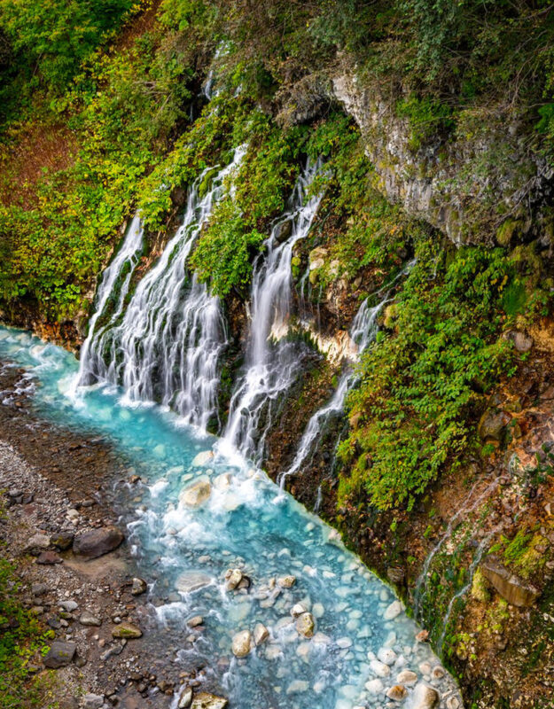 Summer Limited: Biei Furano Farm Tomita & Shikisai no Oka & Blue Pond & Waterfall Day Tour - Farm Tomita: lavender’s Hokkaido home