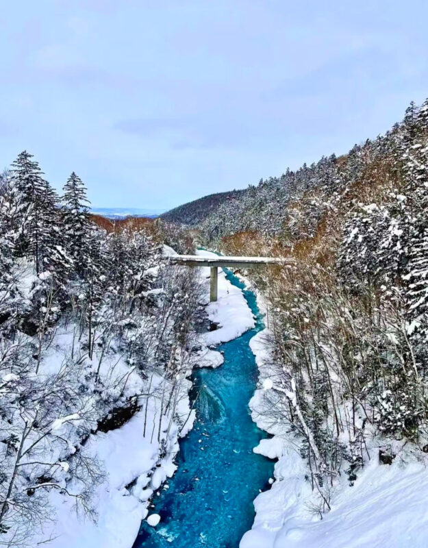 Summer Limited: Biei Furano Farm Tomita & Shikisai no Oka & Blue Pond & Waterfall Day Tour - What the guides add, and what the schedule cannot
