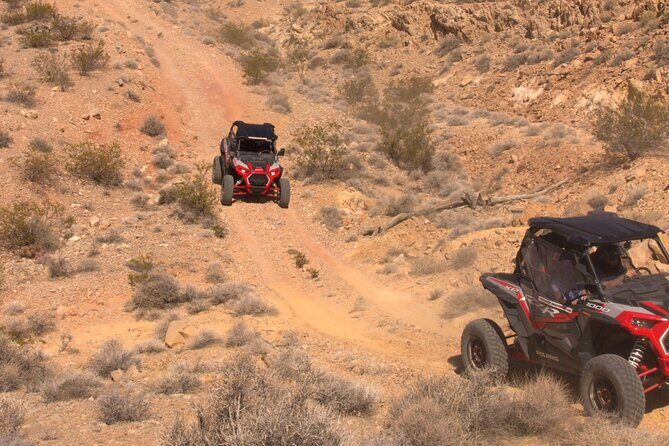 Summer Mojave Desert Twilight RZR Quest in Las Vegas - Sunset and Star Gazing: A Magical Transition