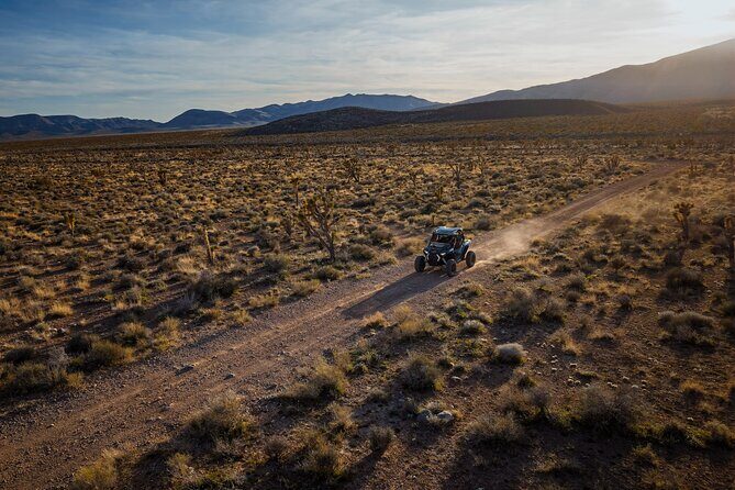 Summer Mojave Desert Twilight RZR Quest in Las Vegas - Who Should Book This Tour?