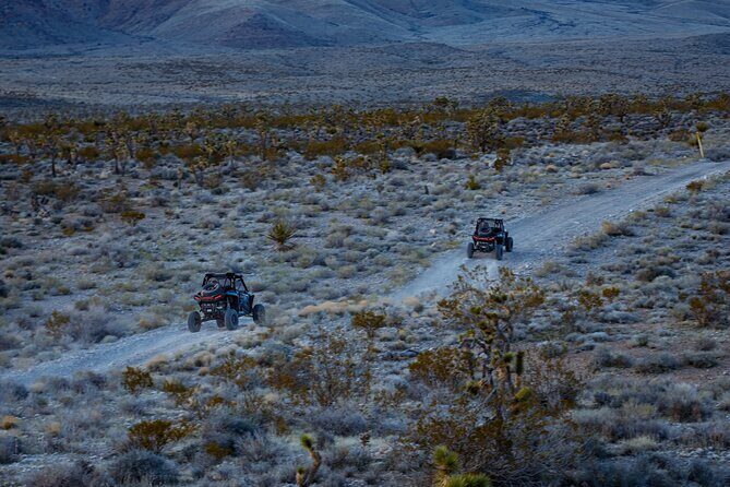 Summer Mojave Desert Twilight RZR Quest in Las Vegas - Frequently Asked Questions (FAQs)