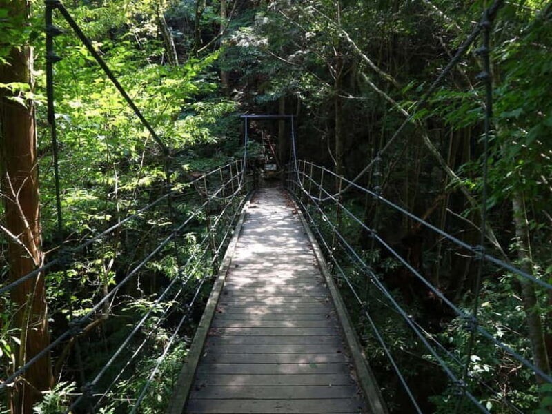 Summer Only Tour: Hidden Gems of the Kiso Valley (Nagoya) - Key Points