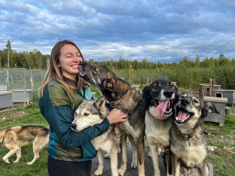 Summer Sled Dog Kennel Tour - Key Points
