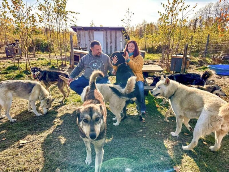 Summer Sled Dog Kennel Tour - An In-Depth Look at the Sled Dog Kennel Tour