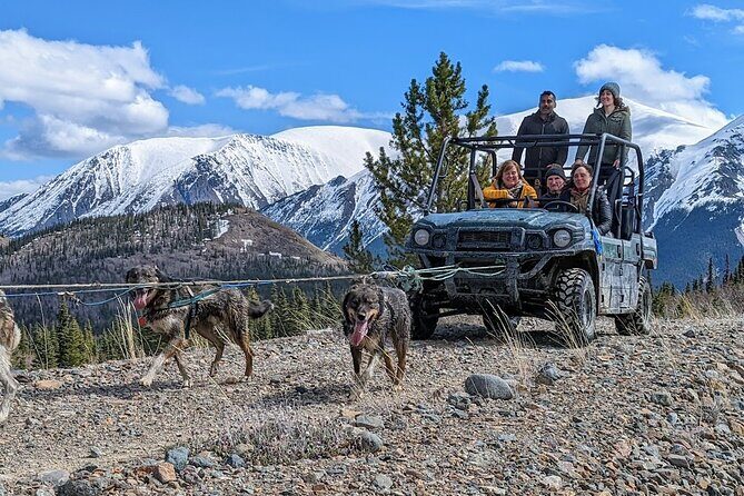 Summer Sled Dog Remote Yukon Camp & Summit Tour - A Deep Dive into the Experience