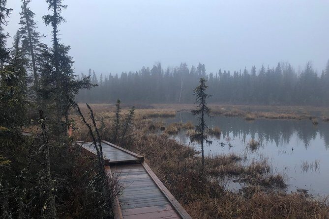 Summer Valley and Forest Hike - Analyzing the Value