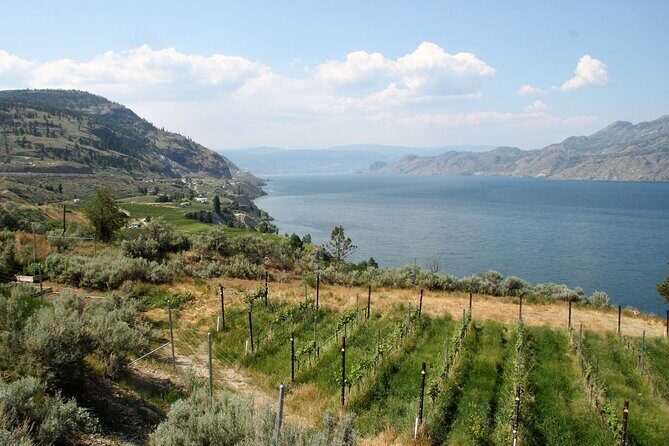 Summerland Private Wine Tour - Full Day - What’s Included and What to Expect