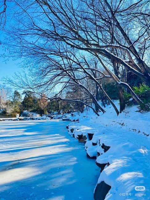 SummerPalace or temple of heaven Ticket with guide(optional) - The Sum Up