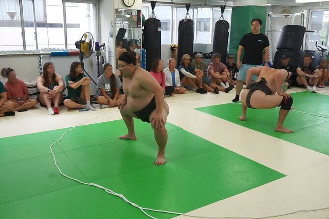 Sumo Experience in Tokyo Shinjuku Netflix Sanctuary For Group - Who Will Appreciate This?