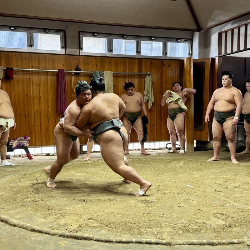 Sumo Practice in Tokyo - Inside the Stable, Not in a Sumo Arena