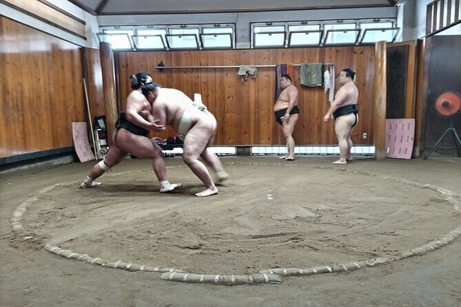 Sumo Practice Viewing Guided Tour and Photo with Sumo Wrestlers - Key Points