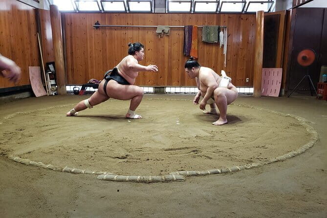 Sumo Practice Viewing Guided Tour and Photo with Sumo Wrestlers - Who Will Love This Tour?