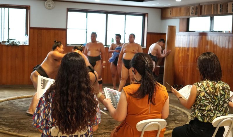 Sumo Stable Intimate Morning Practice with Expert Guide & Lunch - What a morning at the stable feels like