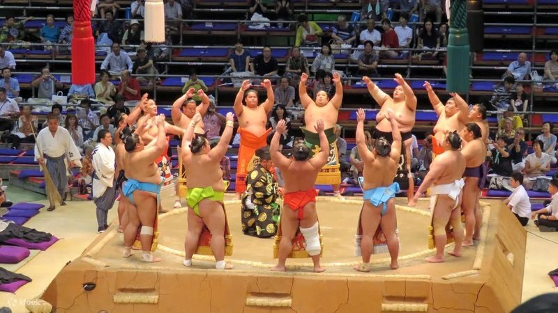 Sumo Tournament Experience in Nagoya - Key points before you book