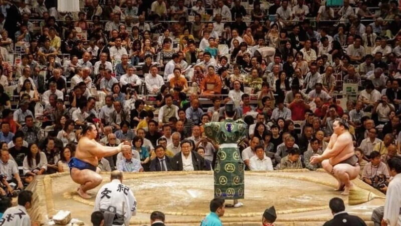 Sumo Tournament: Guided Tour + Ticket & Assigned Seat - Key Points