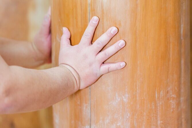 Sumo Training Watching Experience in Tokyo - Why This Tour Is Worth Considering