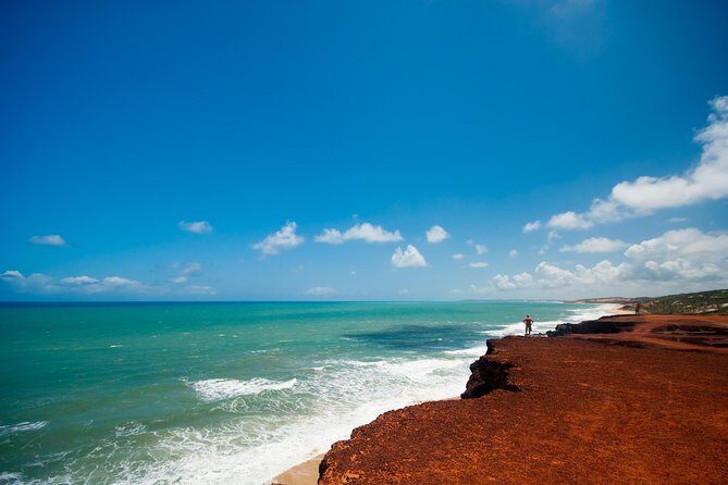 Sun and Fun at Pipa Beach: Day Tour from Natal - The Sum Up