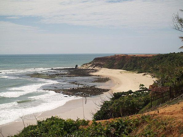 Sun and Fun at Pipa Beach: Day Tour from Natal - Key Points