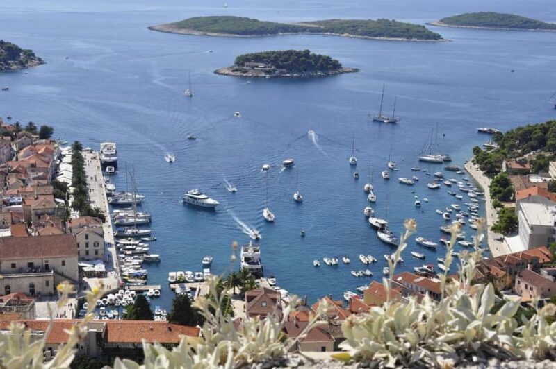 Sun-Kissed Hvar: A Private Walking Guided Tour - Why Choose a Private Guided Tour in Hvar?
