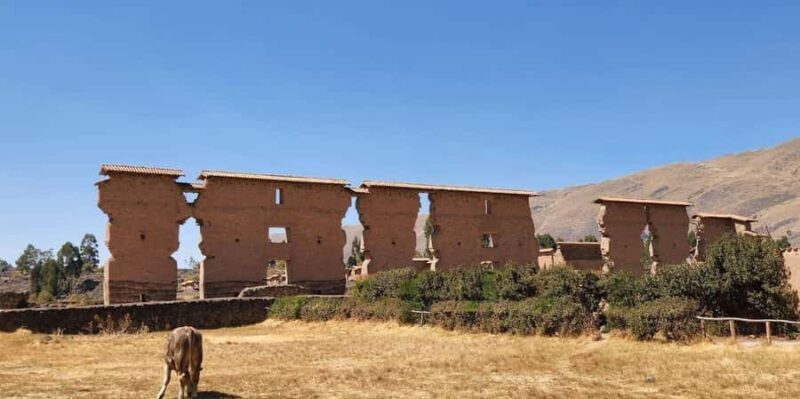 Sun Route between Cusco Puno in one day with buffet lunch - Exploring the Route: What to Expect on the Cusco to Puno Sun Route Tour