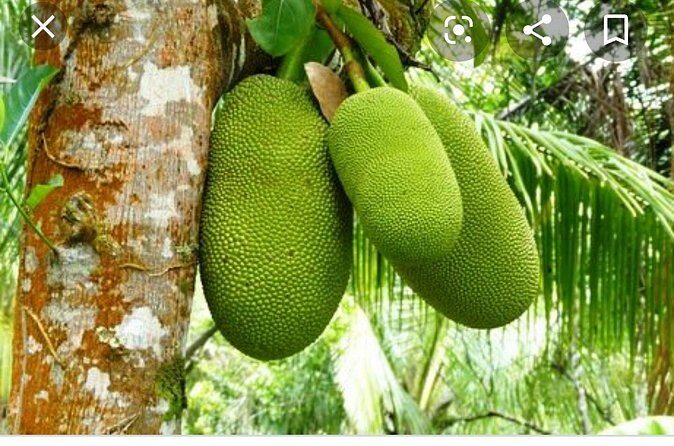 Sun Valley farm Tour - Final Thoughts