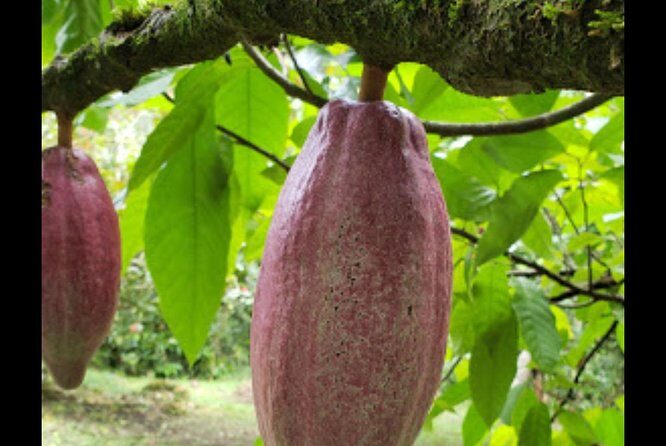 Sun Valley farm Tour - FAQ