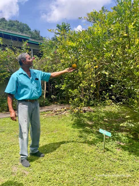 Sun Valley Plantation: Tropical paradise garden with hummingbirds - FAQ