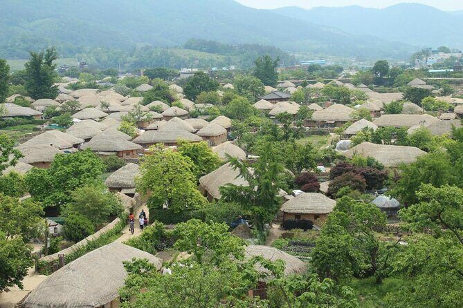 Suncheon one day tour from Seoul, Busan or Suncheon - What Past Travelers Say