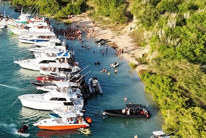 Sunday Boat Festival/Meet up with Djs, open bar & snacks - The Value of the Tour