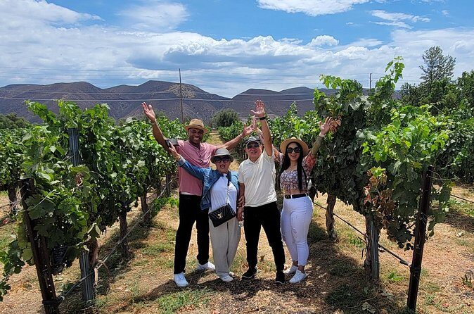 Sunday Special Wine Tour in Temecula Valley with Lunch - Final Thoughts: Who Will Appreciate This Tour?