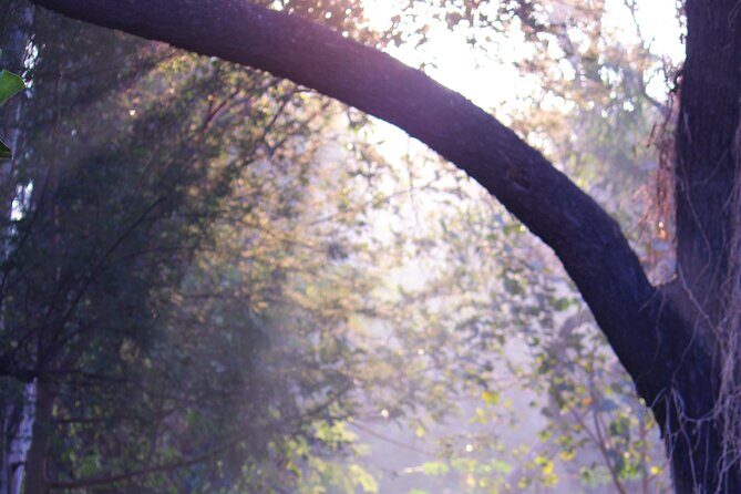 Sunder Nursery Delhi's Heritage Garden Walk Tour - Who Should Choose This Tour?