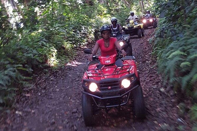 Sunny Blue Rentals in St Kitts for ATV and Dune Buggy Combo Tours - Who Would Love This Tour?